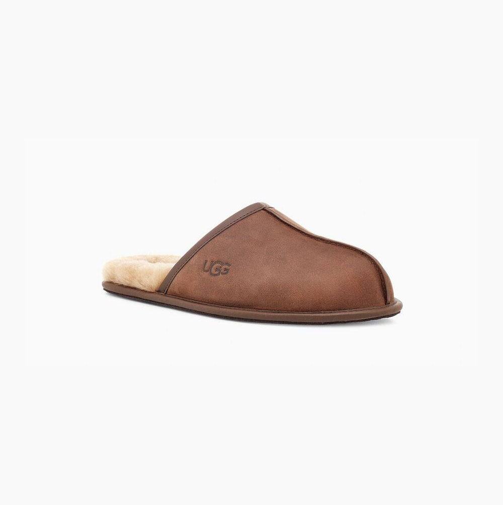 UGG Scuff Leather - Tøfler Herre - Brune (NO-E683)